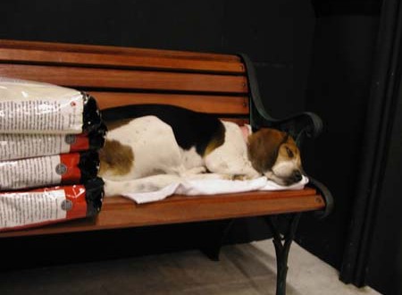 1380945516-2626702252