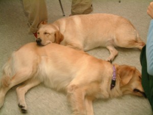 1380945517-3974471396