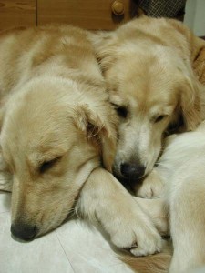 1380945518-633579046