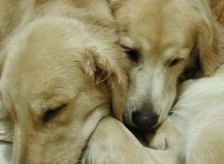 1380945518-633579046