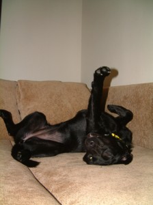 1380945519-3097924358