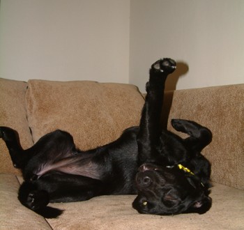 1380945519-3097924358