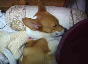 1380945519-3780044889