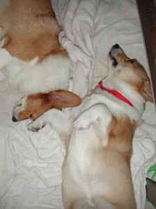 1380945520-816548468