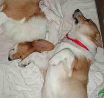 1380945520-816548468