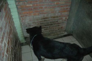 1380945529-2751588529