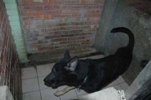 1380945529-3388248651