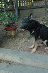 1380945530-1801928395