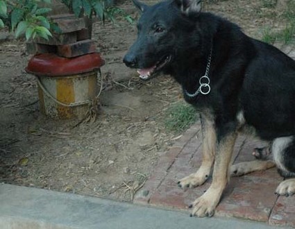 1380945530-1801928395