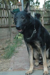 1380945530-200355552