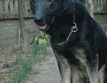 1380945530-200355552