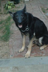 1380945530-3550044115