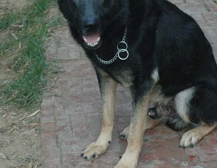 1380945530-3550044115