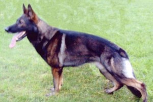 1380945531-3376116327