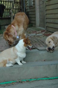 1380945532-2370834992