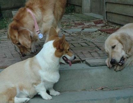 1380945532-2370834992