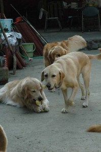 1380945533-189097574