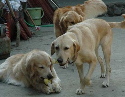 1380945533-189097574