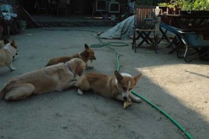 1380945533-194032479