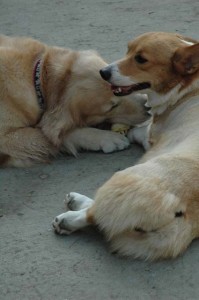 1380945534-135249378