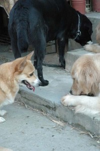 1380945534-3626078574