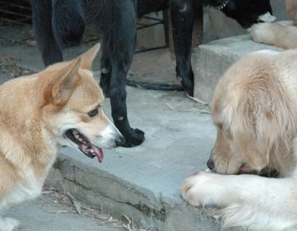 1380945534-3626078574