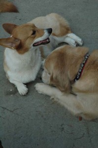 1380945534-3859549874