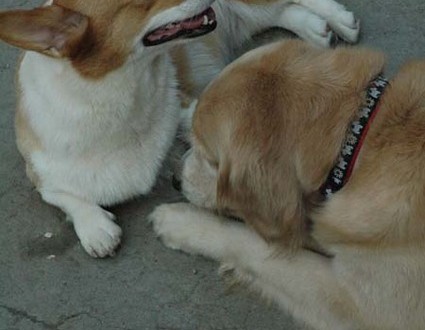 1380945534-3859549874