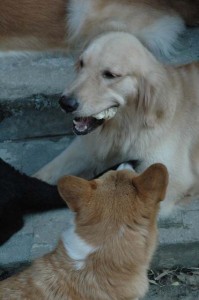 1380945535-2270622875