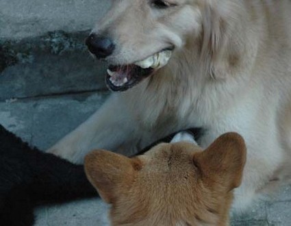 1380945535-2270622875