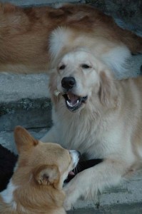 1380945535-3330736855