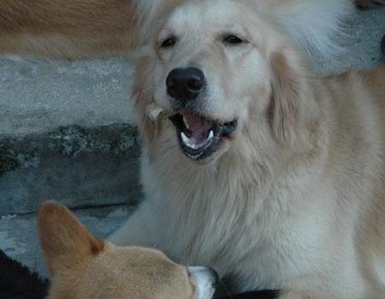 1380945535-3330736855