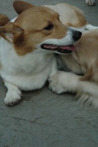 1380945535-3766424052