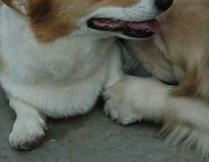 1380945535-3766424052