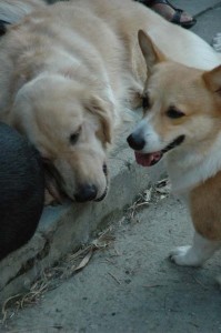 1380945536-145937025