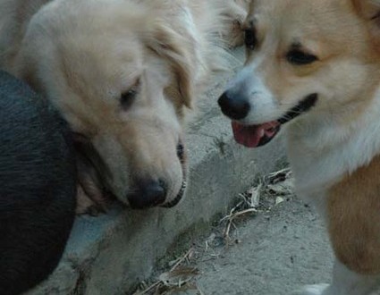 1380945536-145937025