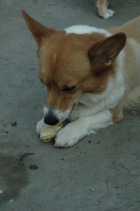 1380945537-3467593102