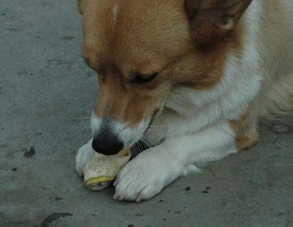 1380945537-3467593102