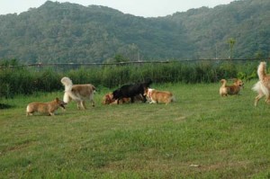 1380945538-1163531859