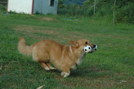 1380945538-4046391409