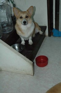 1380945538-4186536104