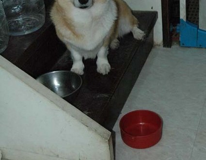 1380945538-4186536104