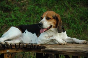 1380945539-1772845012