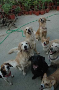 1380945544-3709534861