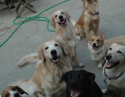 1380945544-3709534861