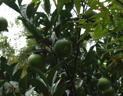 1380945545-4139244501