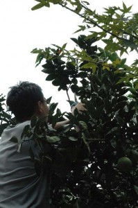 1380945546-1181842726