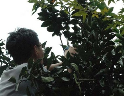 1380945546-1181842726