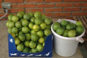 1380945547-2047526734