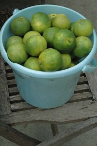 1380945547-3264123681